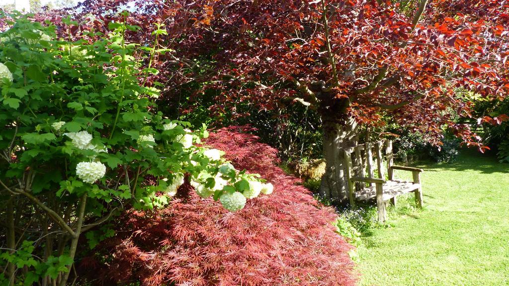 Ashcroft Gardens Bed & Breakfast Napier Extérieur photo